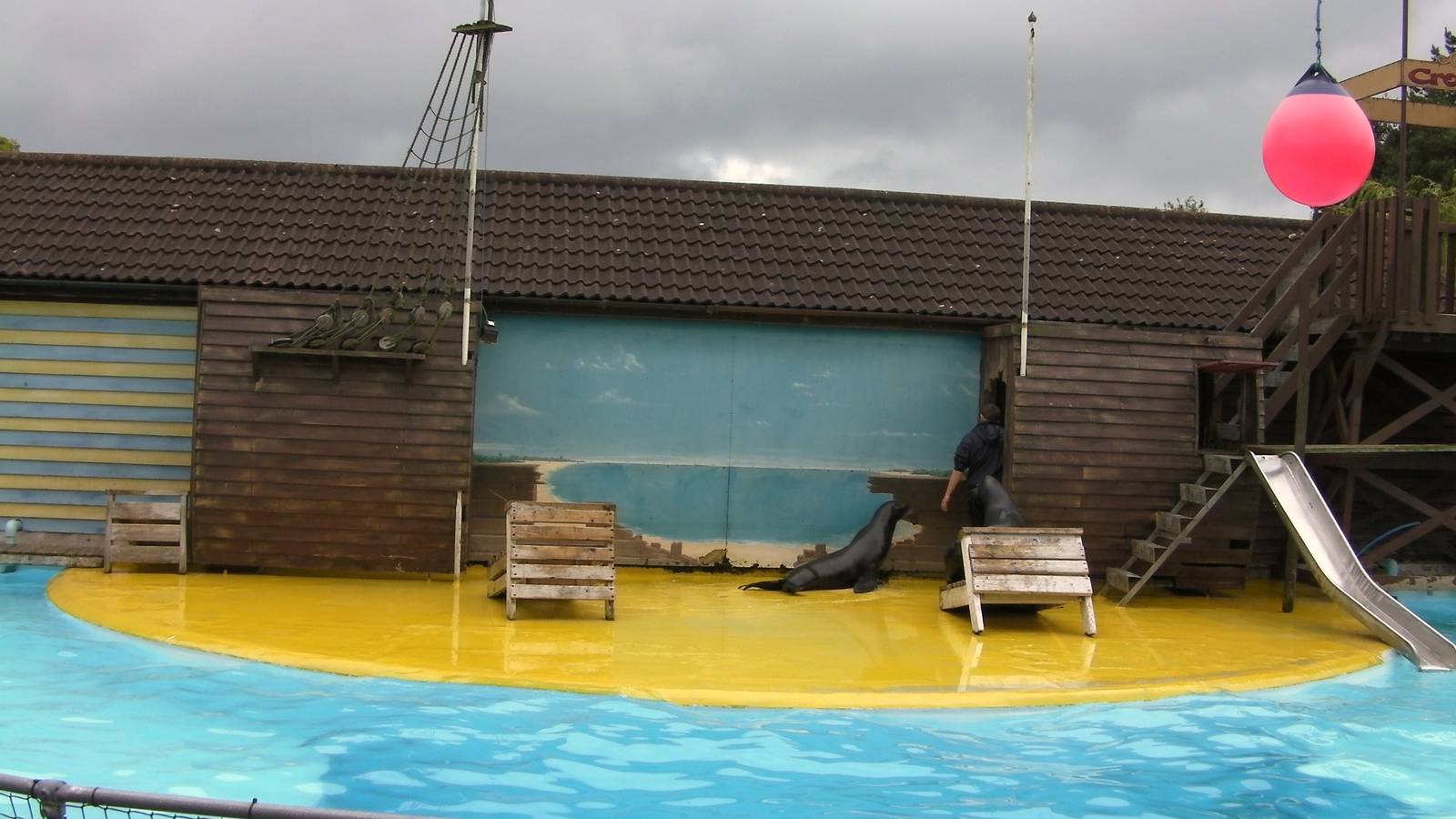 Sea Lion Show  -  26.07.2011