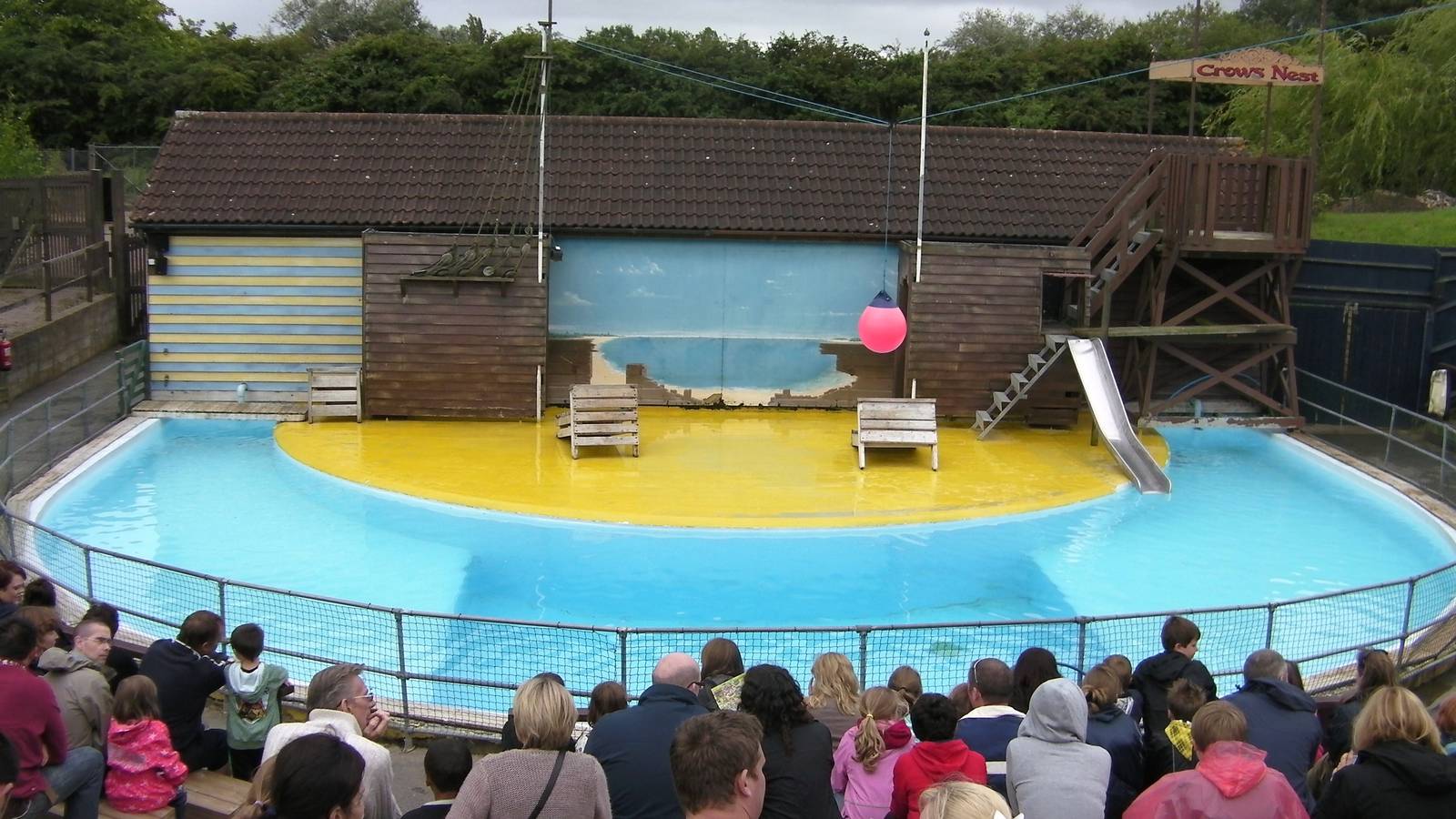 Sea Lion Show - 26.07.2011