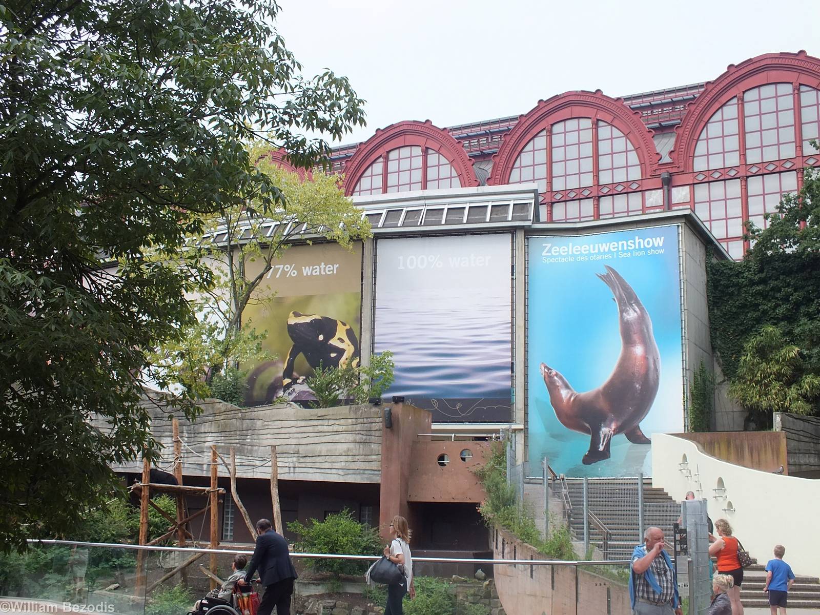 Sea Lion Show Area with Central Station behind