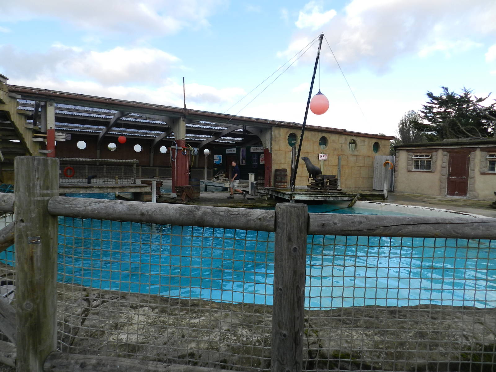 Sea Lion Show at Flamingo Land - 14/10/2012