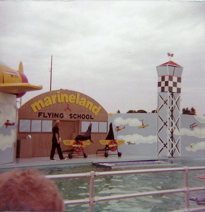 Sea Lion Show - Marineland of the Pacific - January 1977 (Closed 1987)