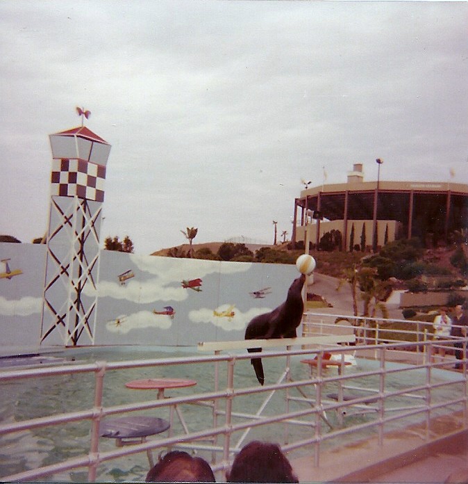 Sea Lion Show - Marineland of the Pacific - January 1977 (Closed 1987)