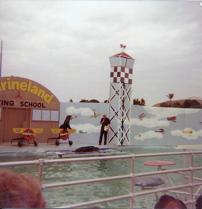 Sea Lion Show - Marineland of the Pacific - January 1977 (Closed 1987)