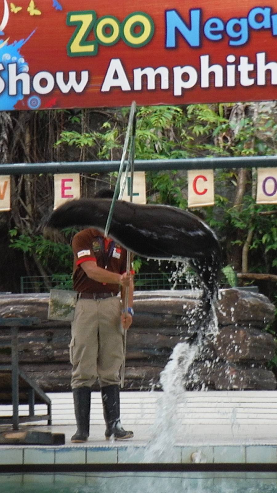 Sea Lion Show - Zoo Negara 2015