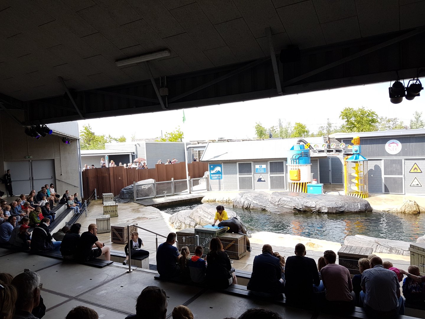 Sea-lion show