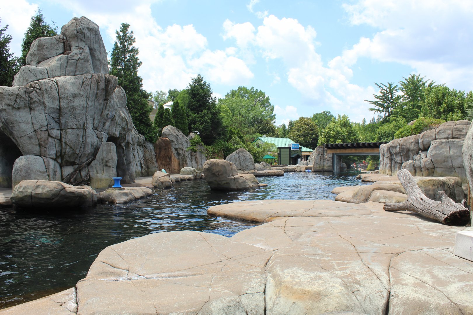 Sea Lion Sound (California Sea Lion & Harbor Seal Exhibit)