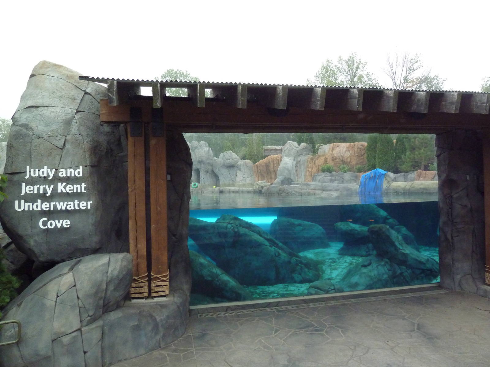 Sea Lion Sound - New in 2012