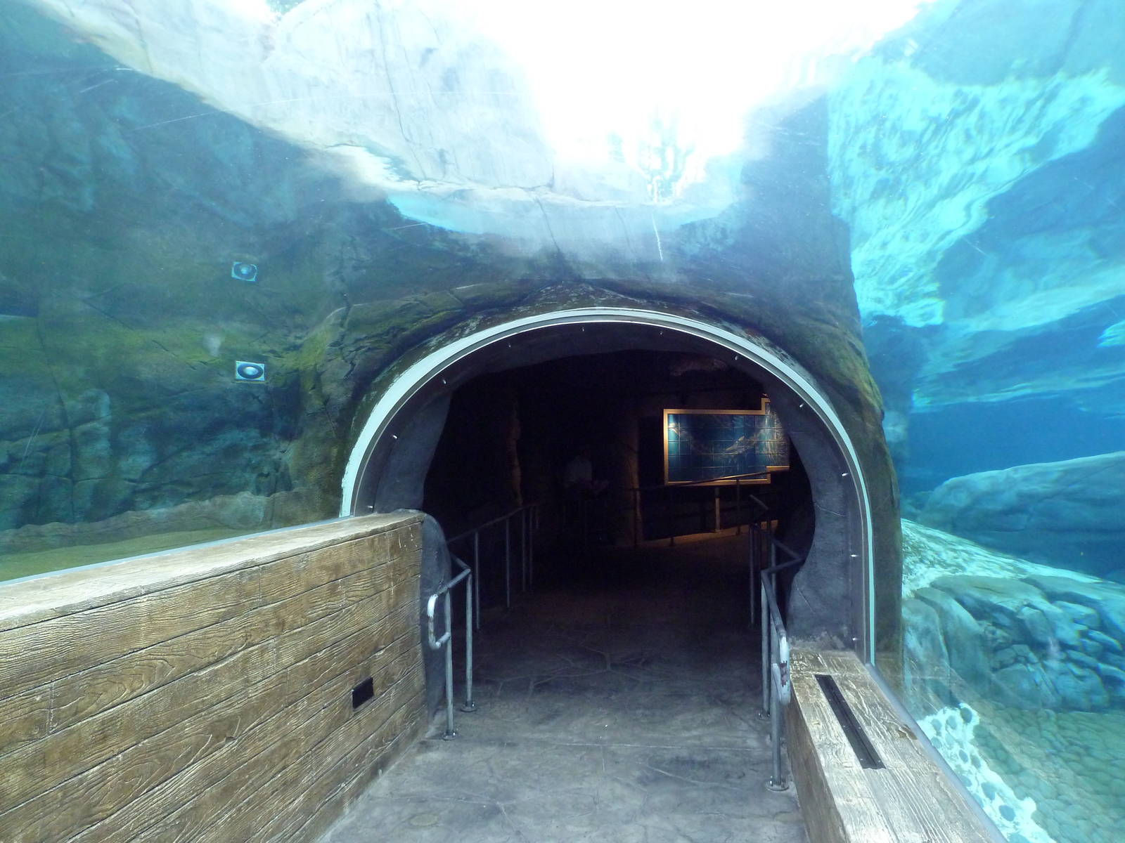 Sea Lion Sound - New in 2012