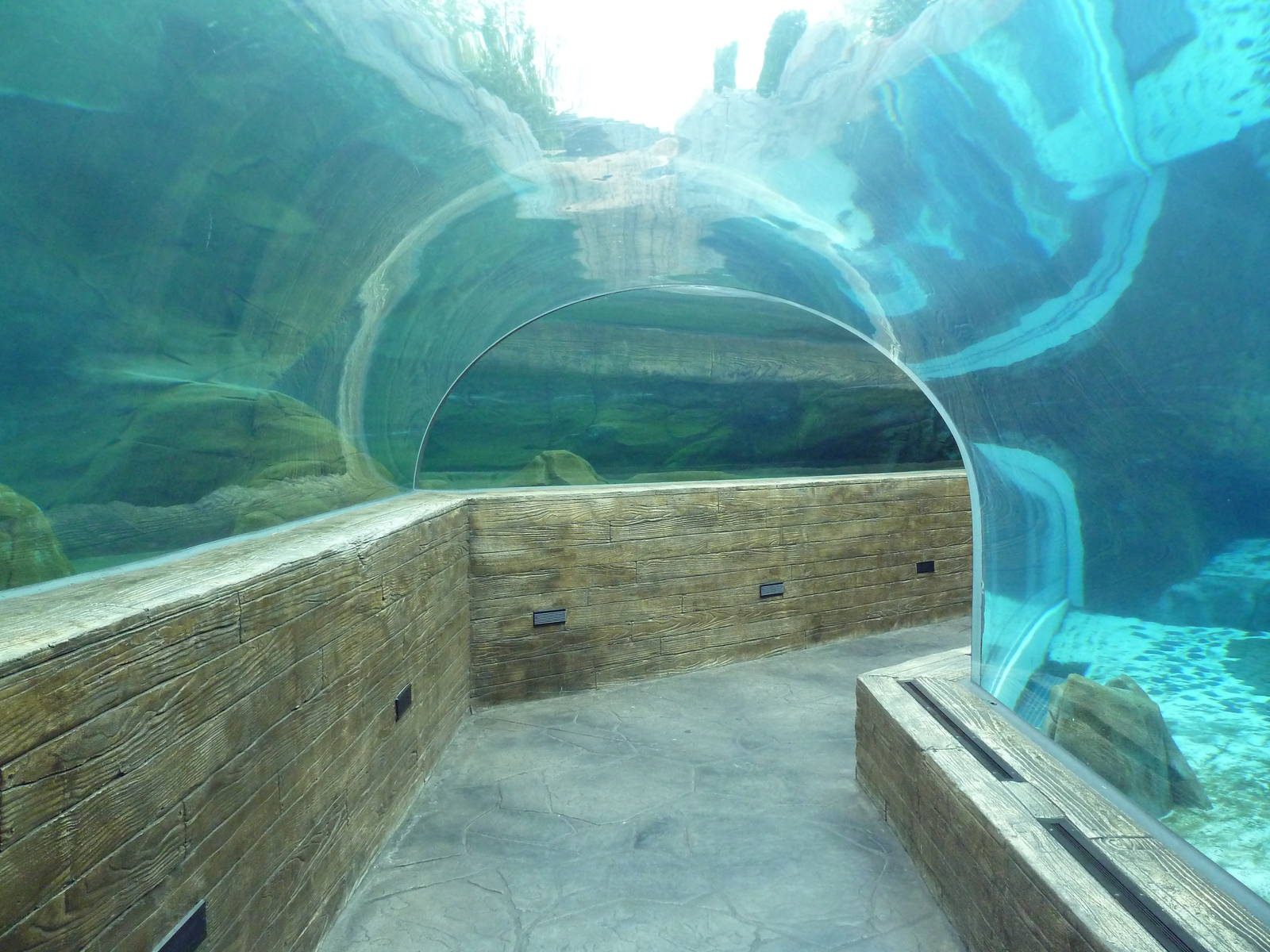 Sea Lion Sound - New in 2012