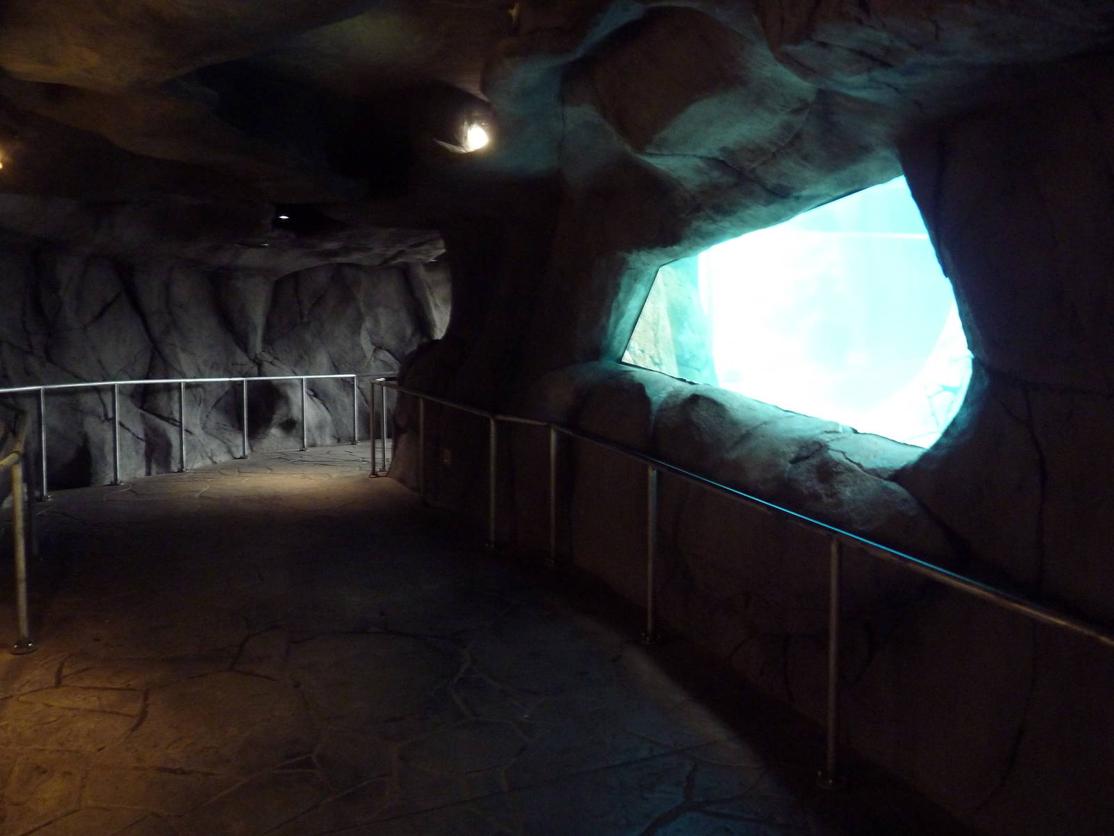 Sea Lion Sound - New in 2012