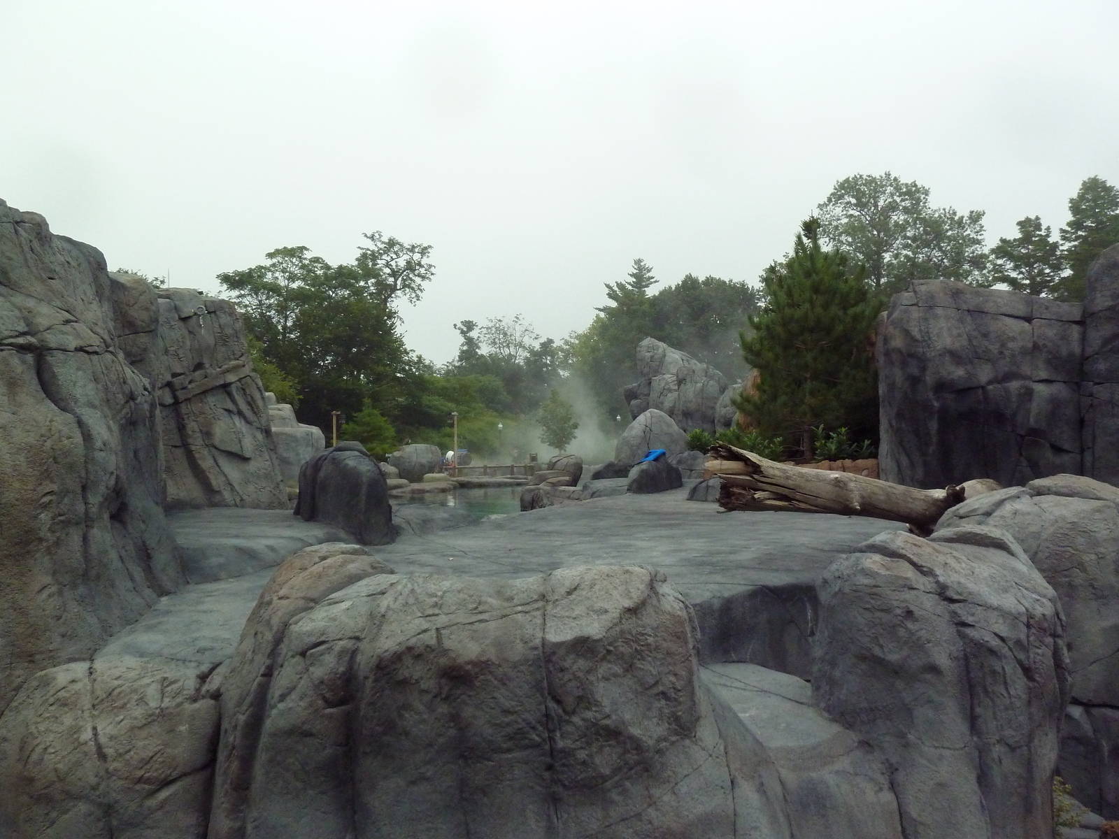 Sea Lion Sound - New in 2012