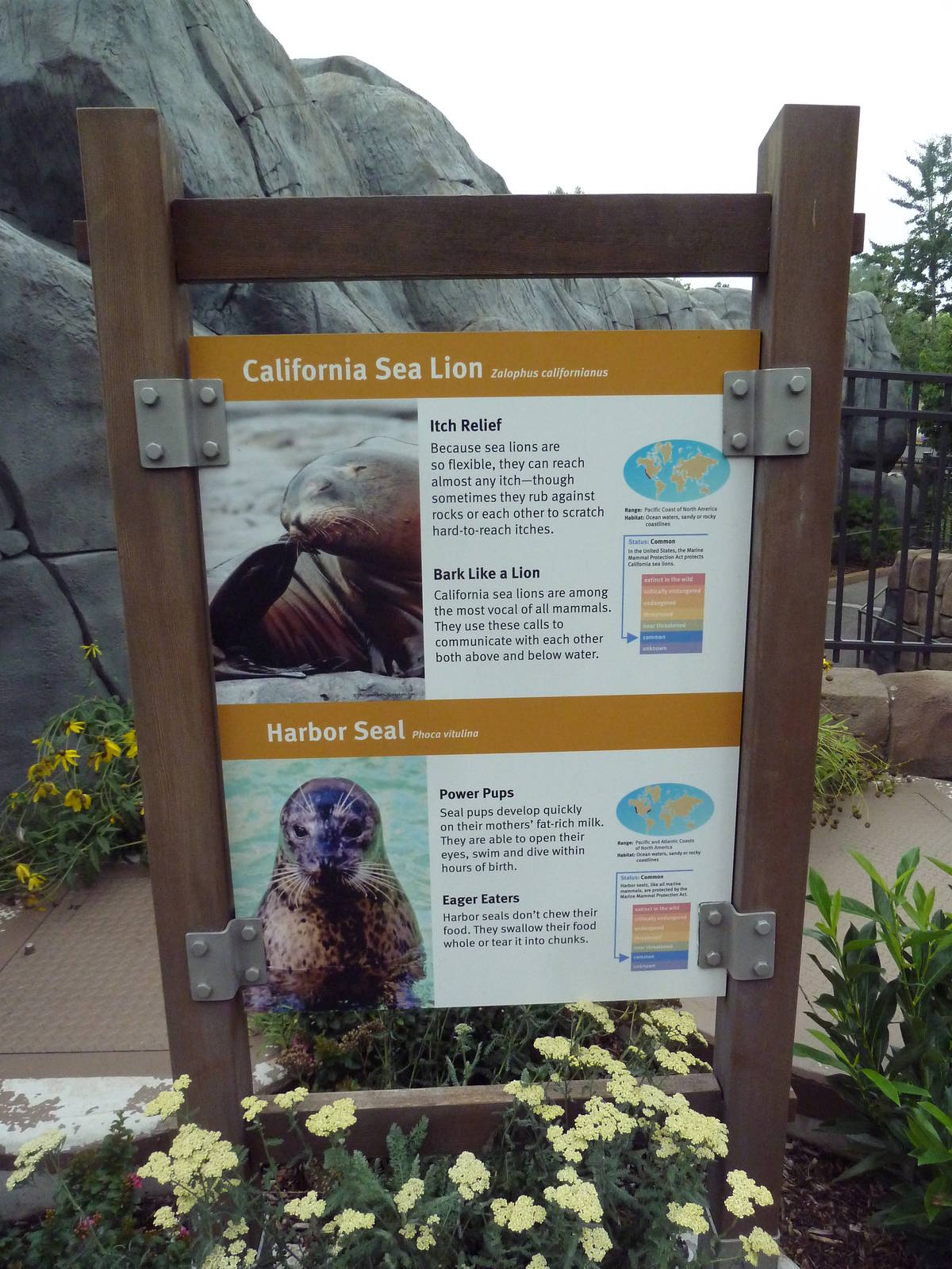 Sea Lion Sound - New in 2012