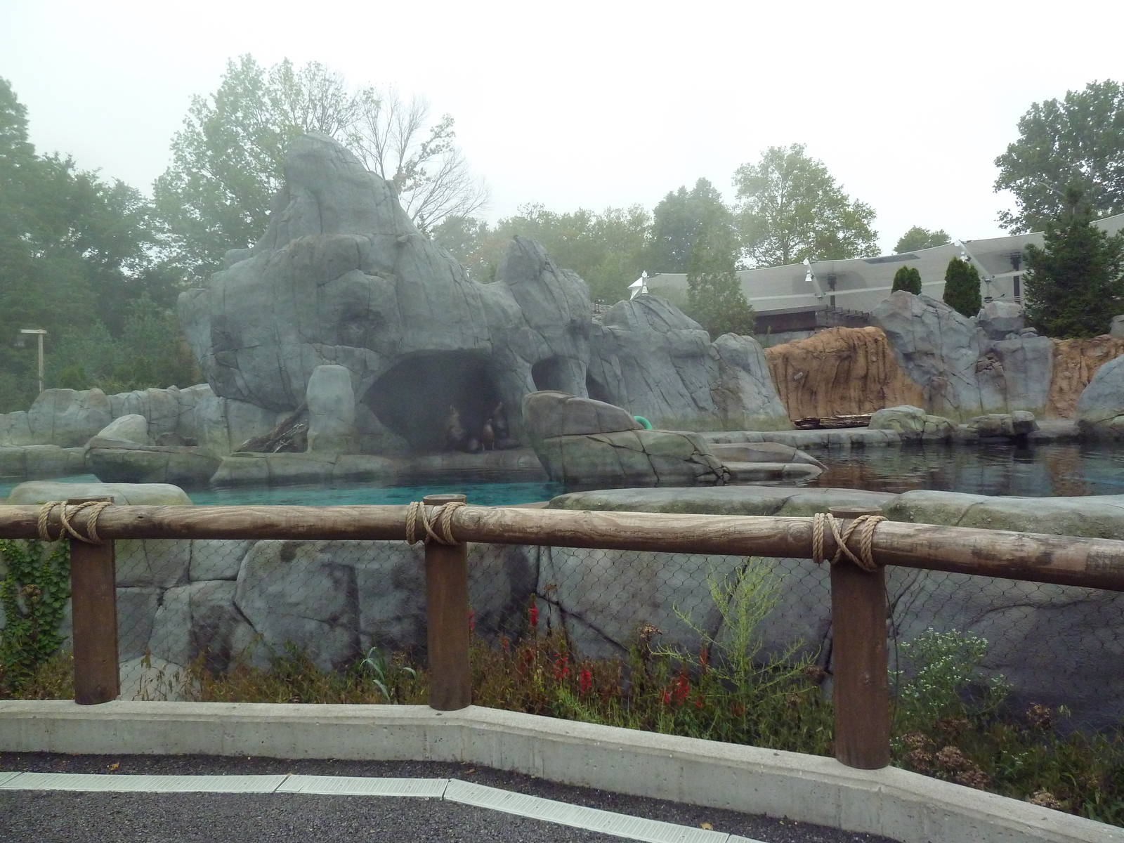 Sea Lion Sound - New in 2012