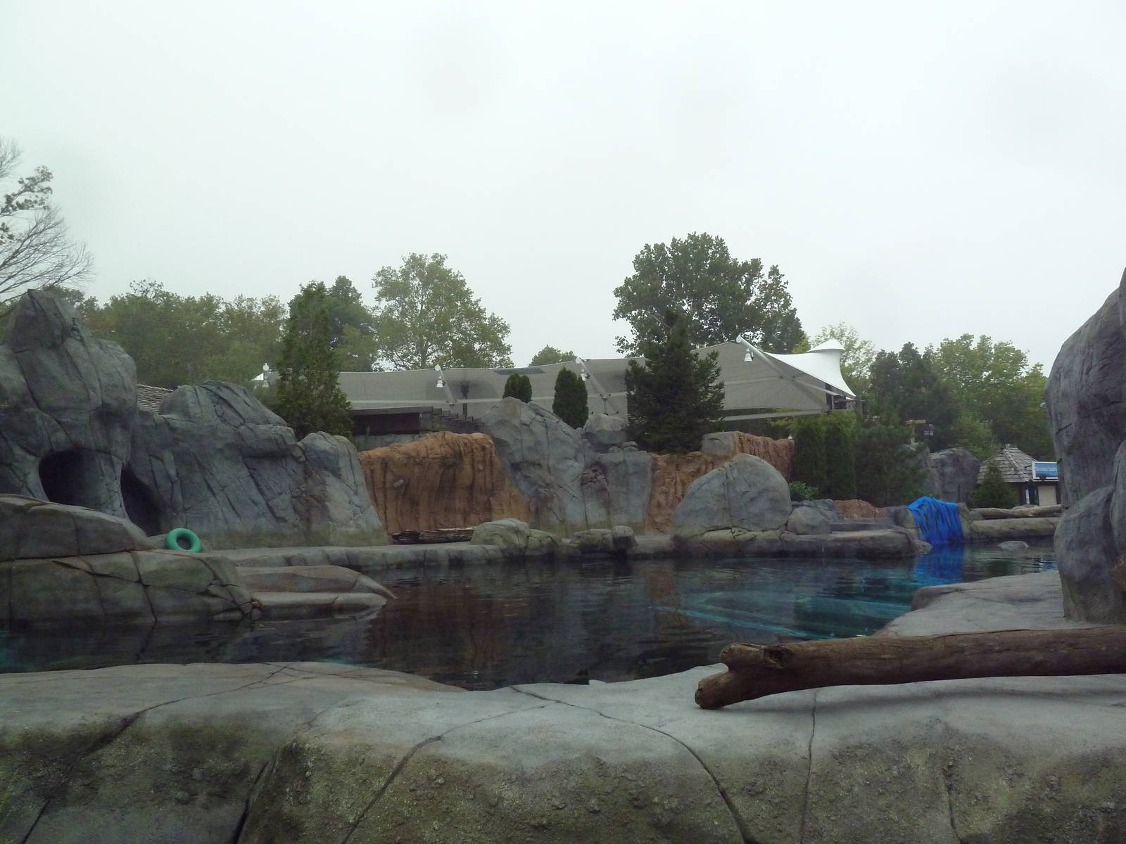 Sea Lion Sound - New in 2012