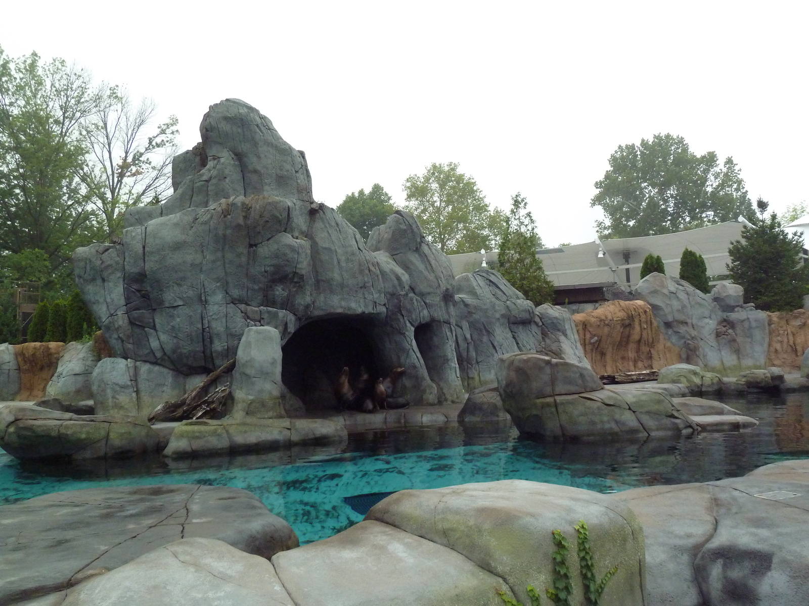 Sea Lion Sound - New in 2012