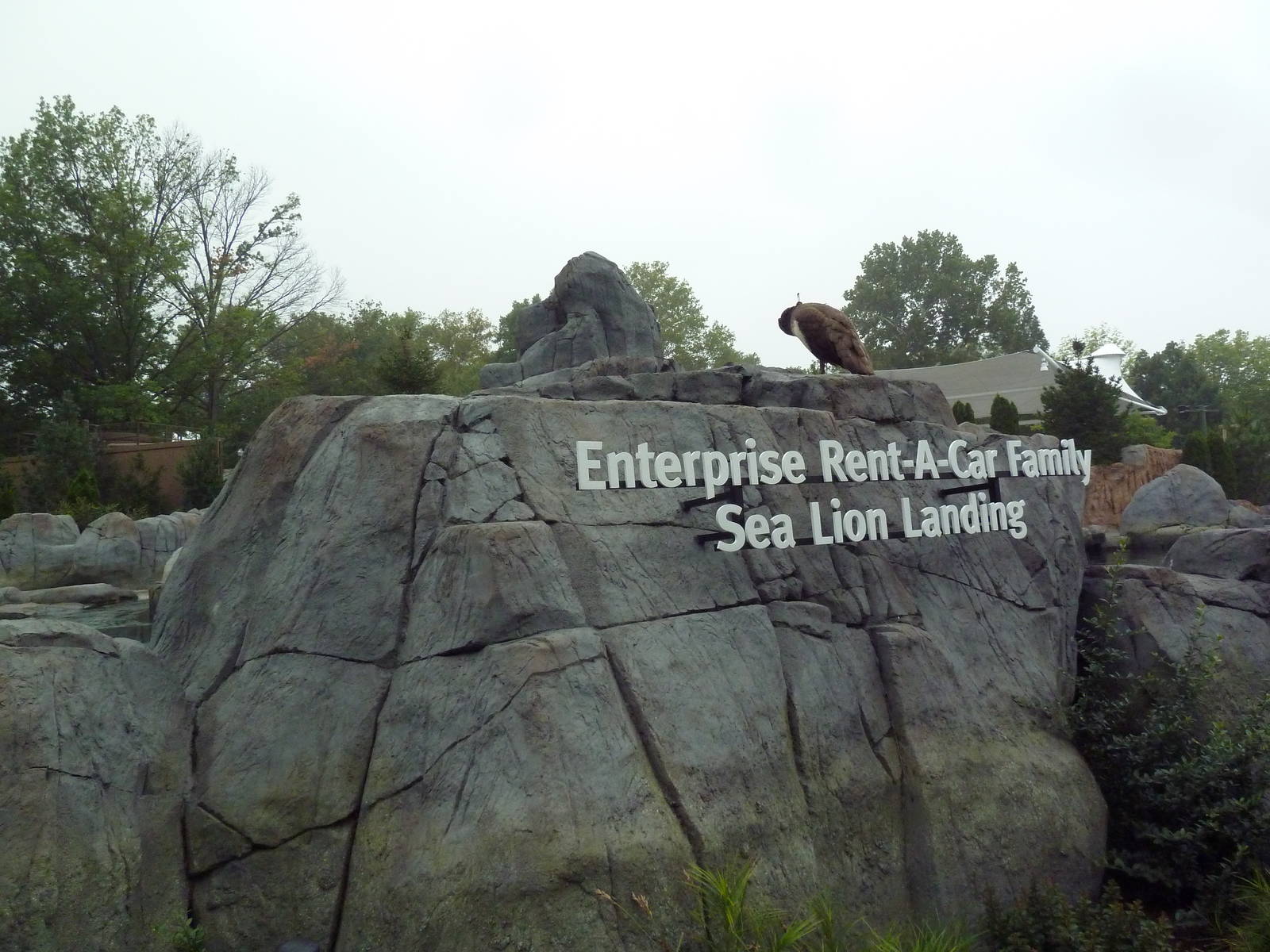 Sea Lion Sound - New in 2012