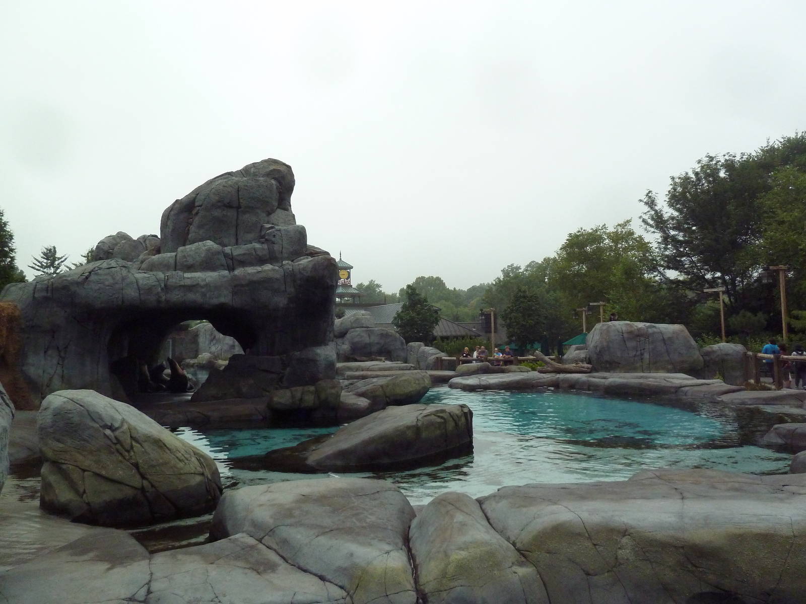 Sea Lion Sound - New in 2012