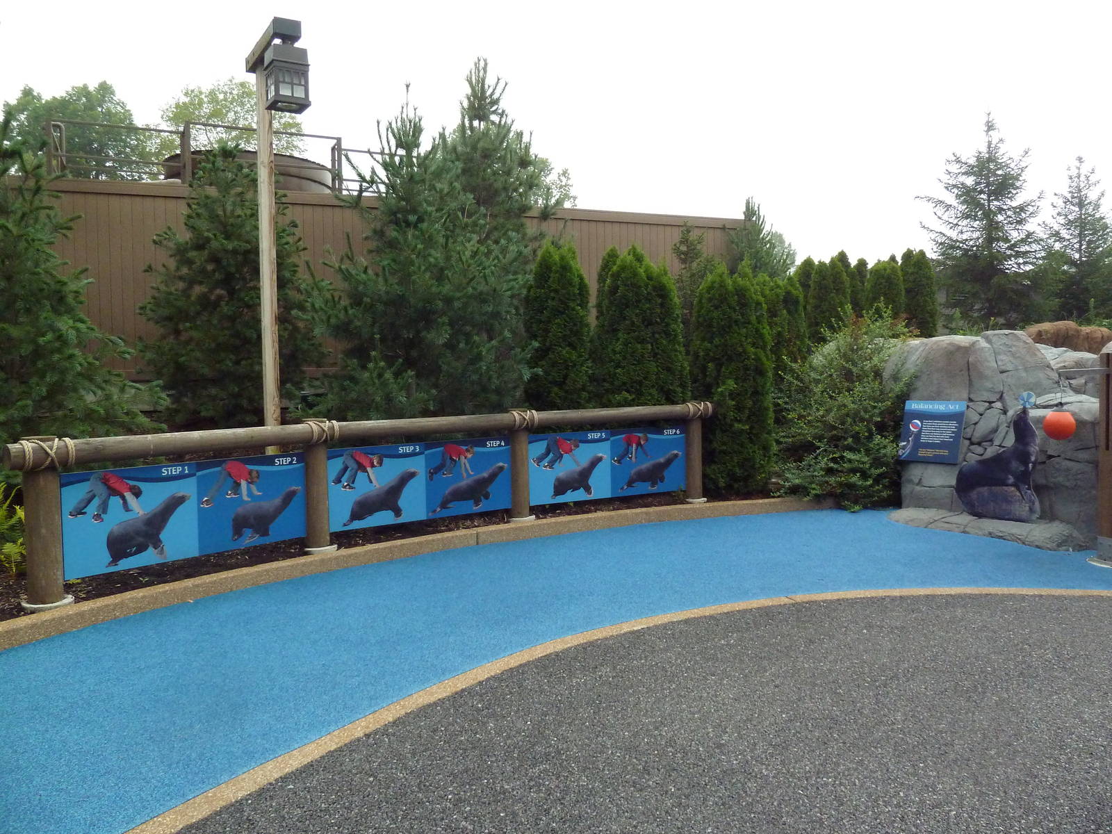 Sea Lion Sound - New in 2012