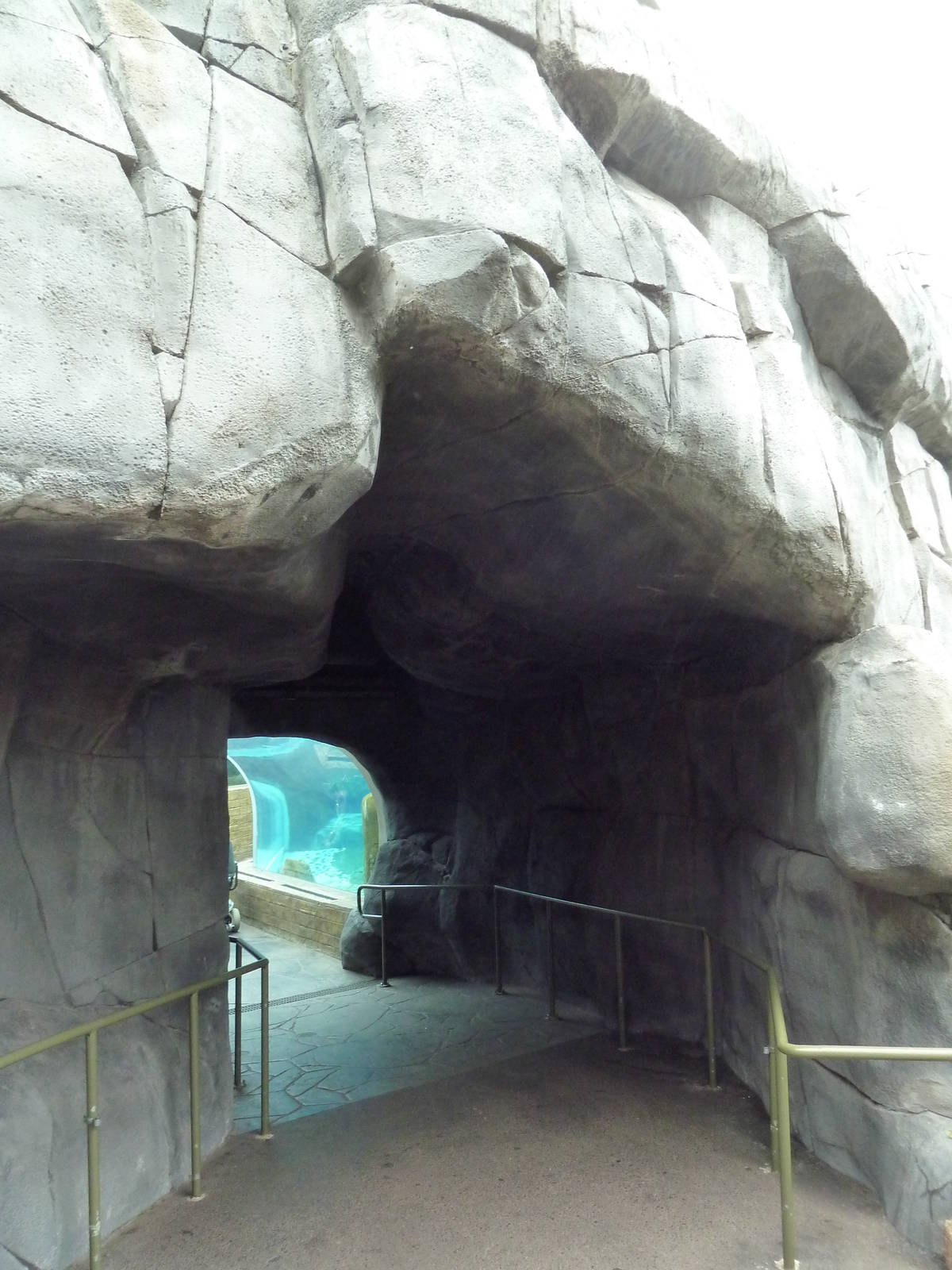 Sea Lion Sound (Pathway to Acrylic Tunnel) - New in 2012