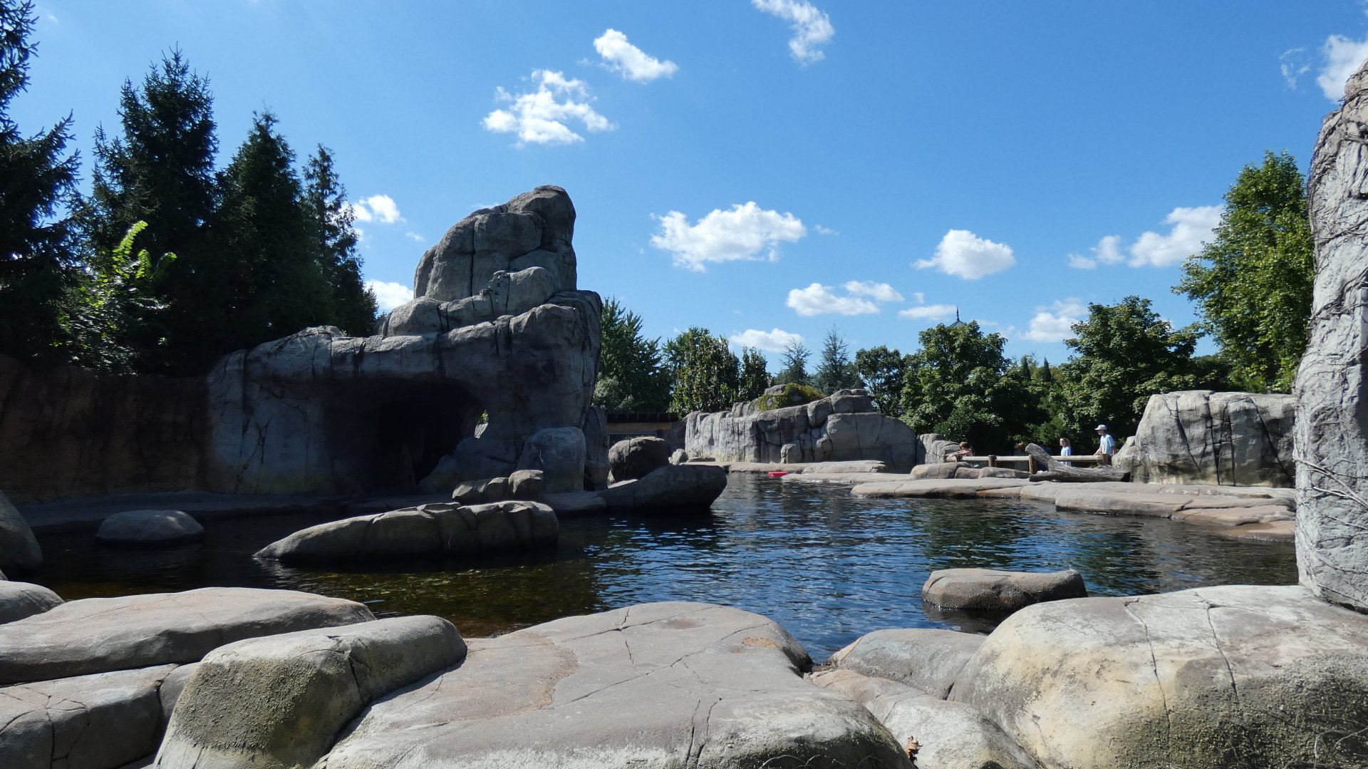 Sea Lion Sound  - Sep. 2021