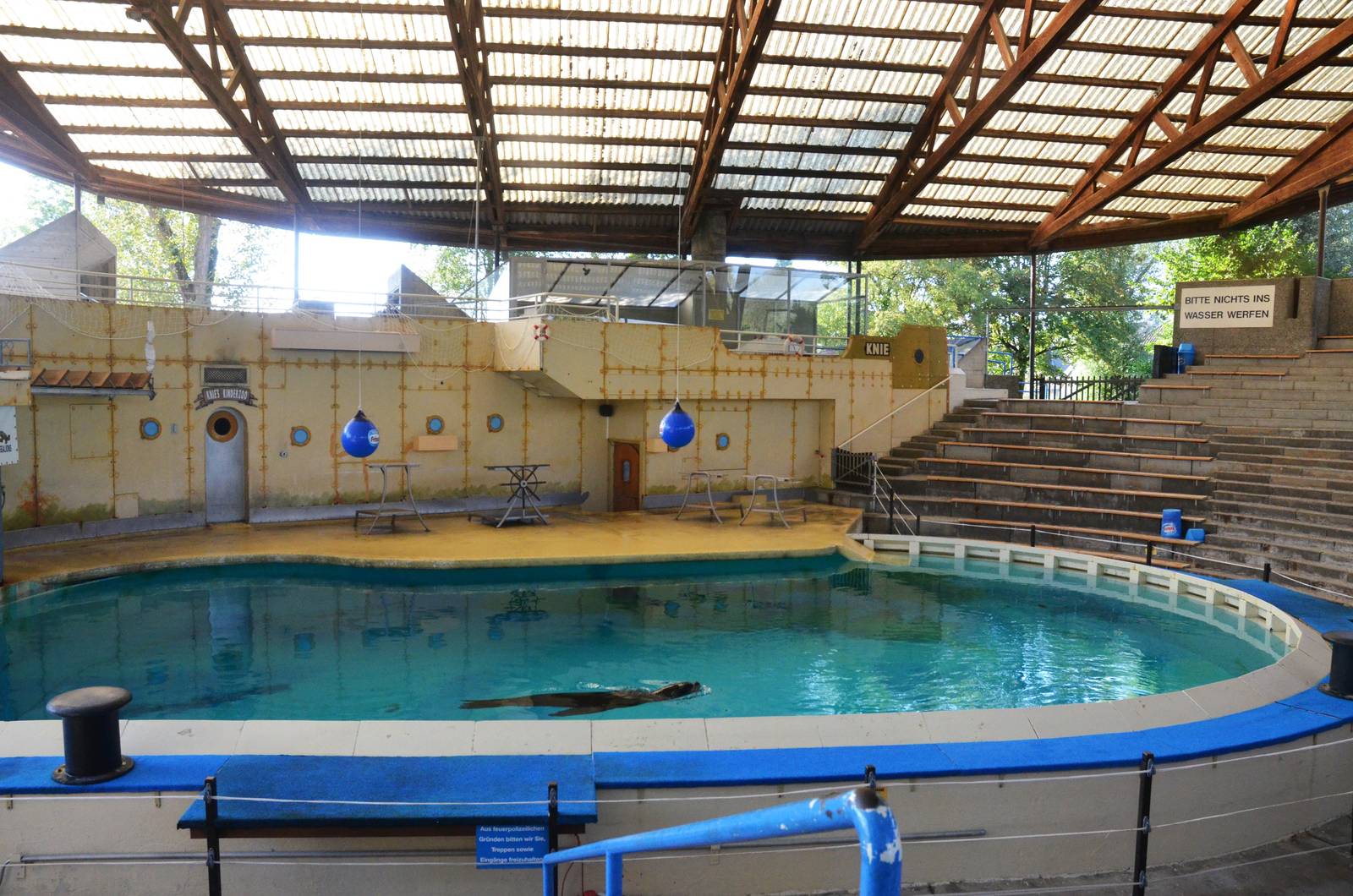 Sea Lion Stadium at Knie Kinderzoo, 11/09/16