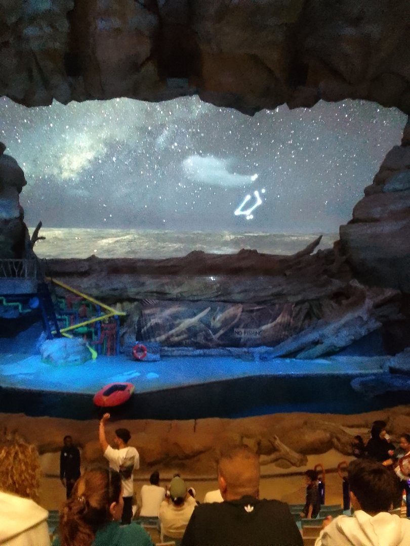 Sea lion stage SeaWorld Abu Dhabi