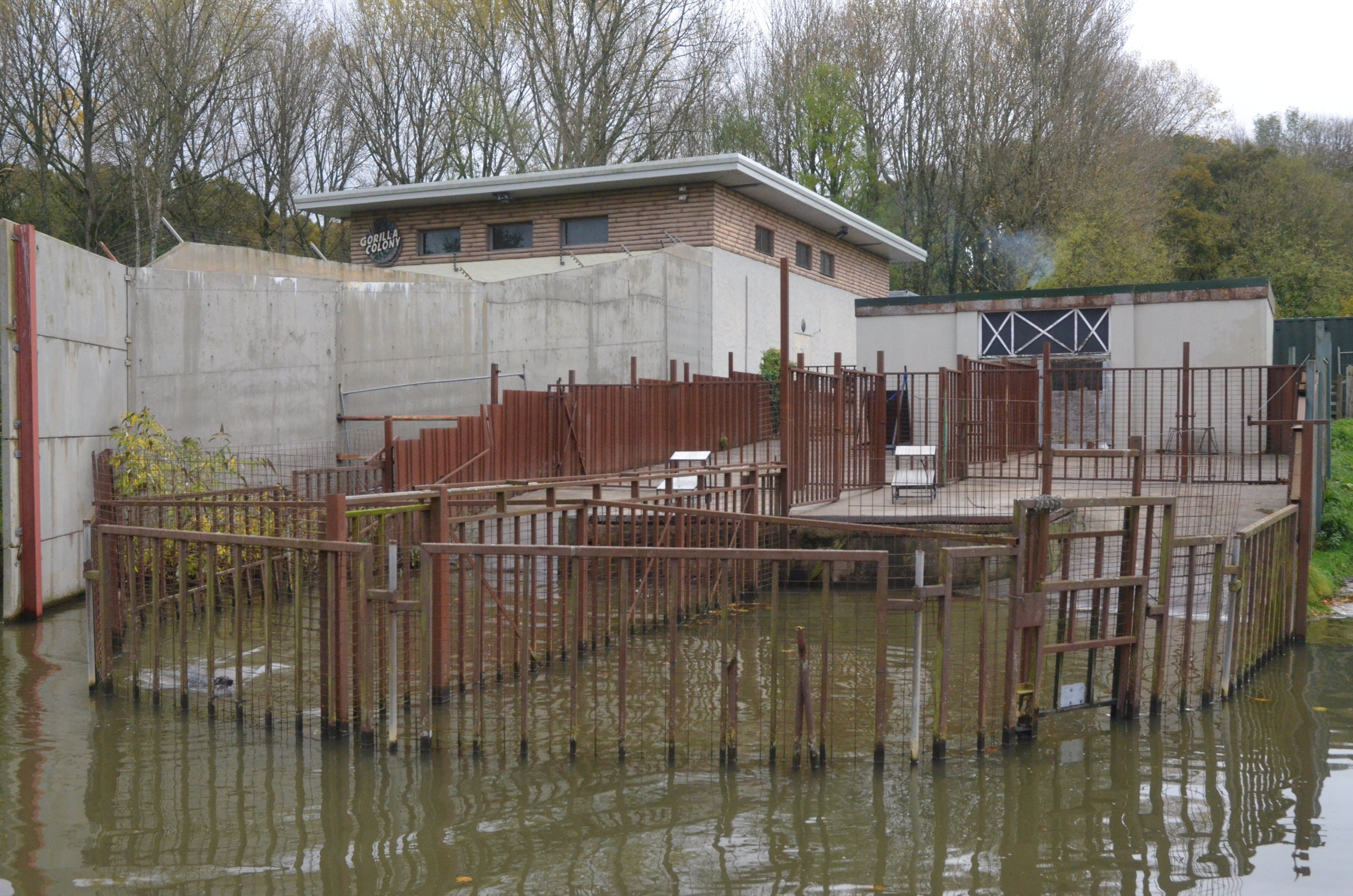 Sea Lion Training/Separation Pens (Half-Mile Lake) at Longleat, 03/11/19