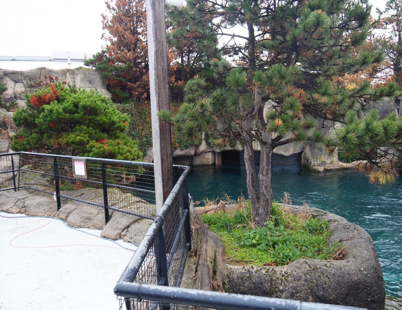 Sea lion viewing area (Nov 10th, 2018)