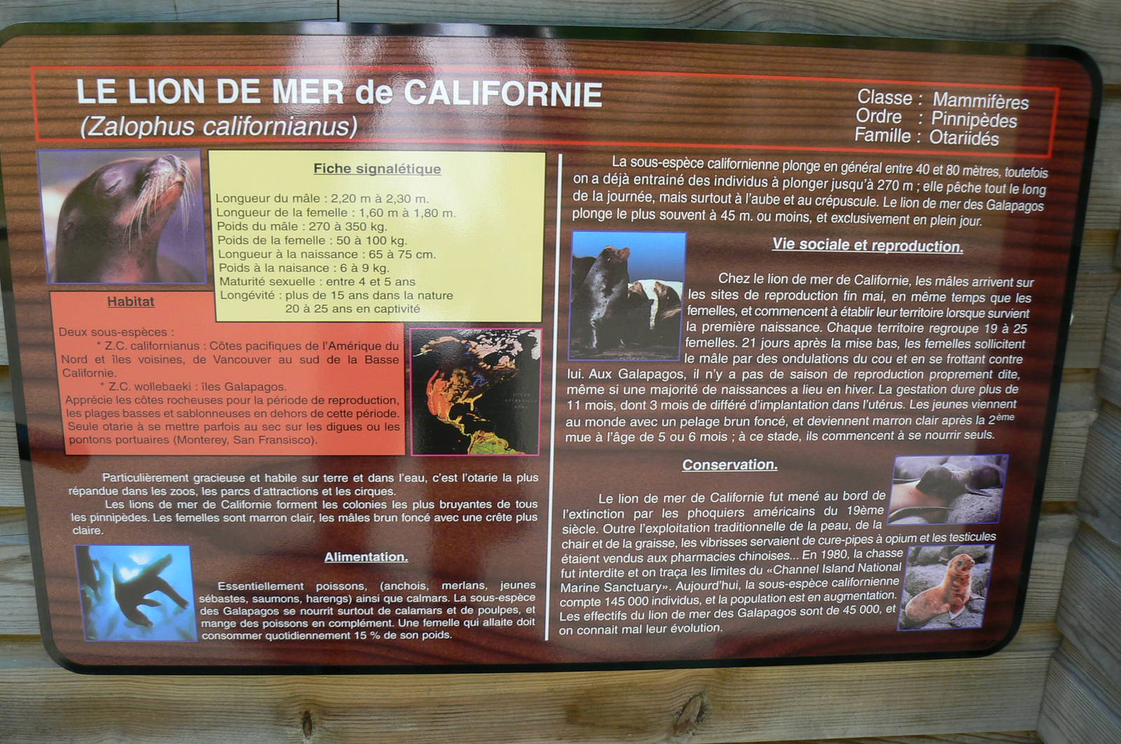 Sea lions complex - californian sea lions signage