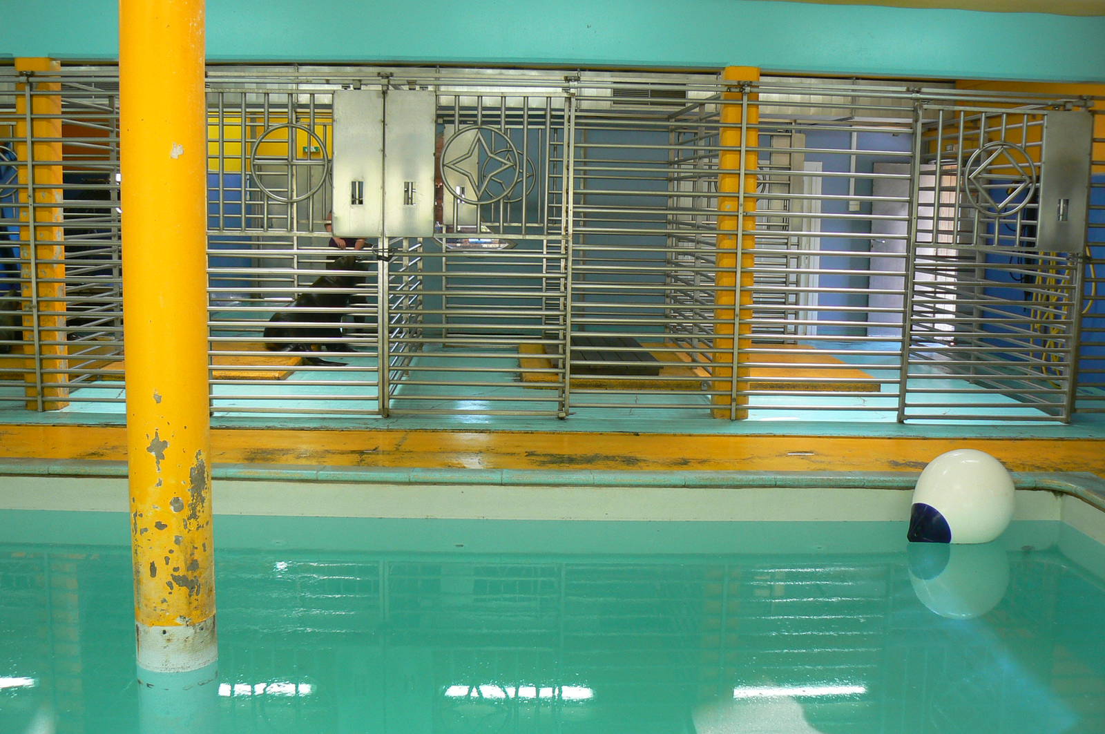 Sea lions complex - indoor pool and cages