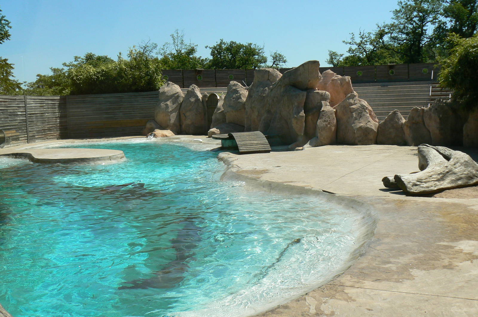 Sea lions complex - second pool