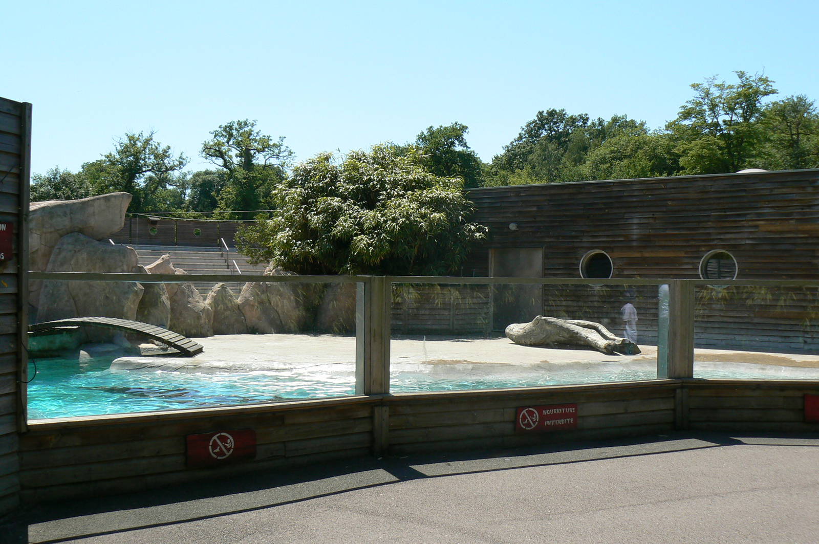 Sea lions complex - second pool