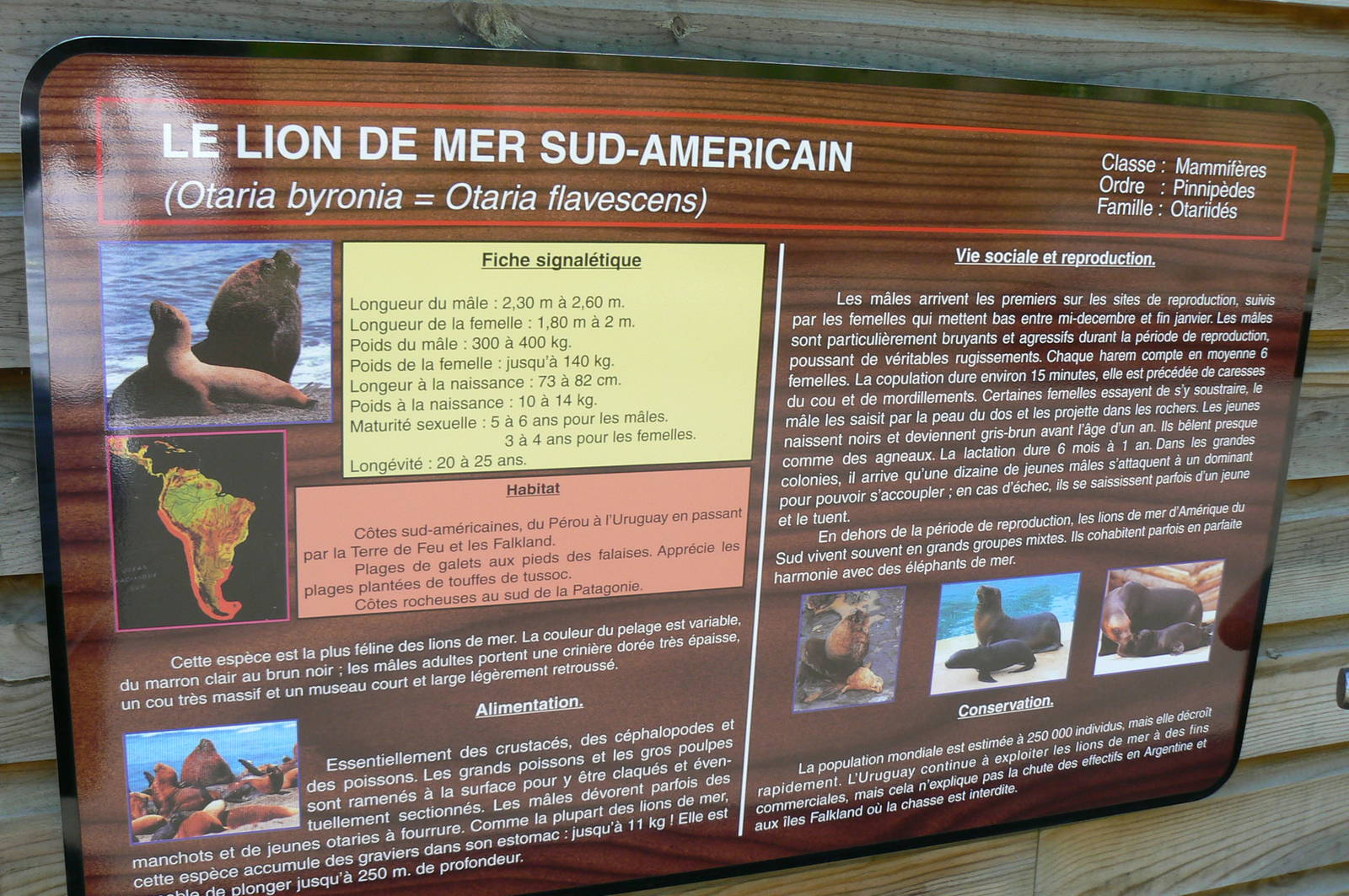 Sea lions complex - south american seal lions signage