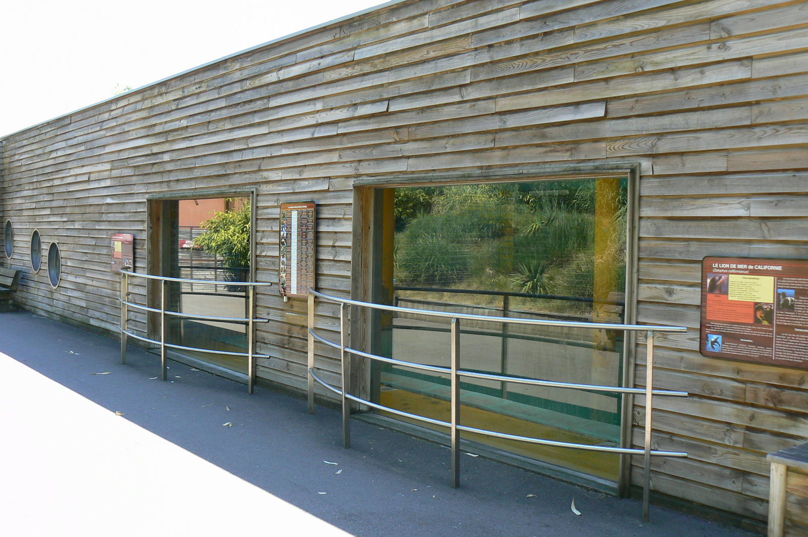 Sea lions complex - windows for looking into the house