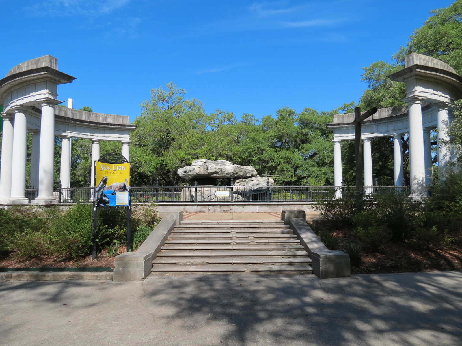 Sea Lions  - Historic Pool