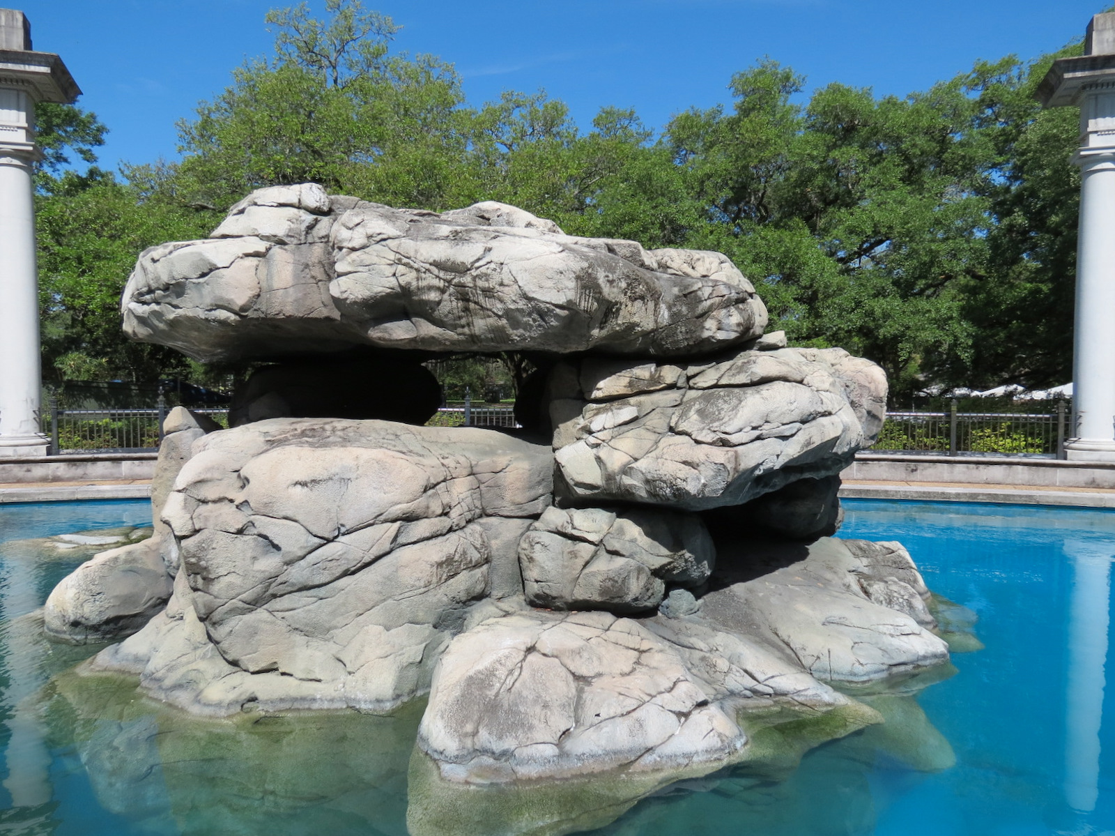 Sea Lions  - Historic Pool