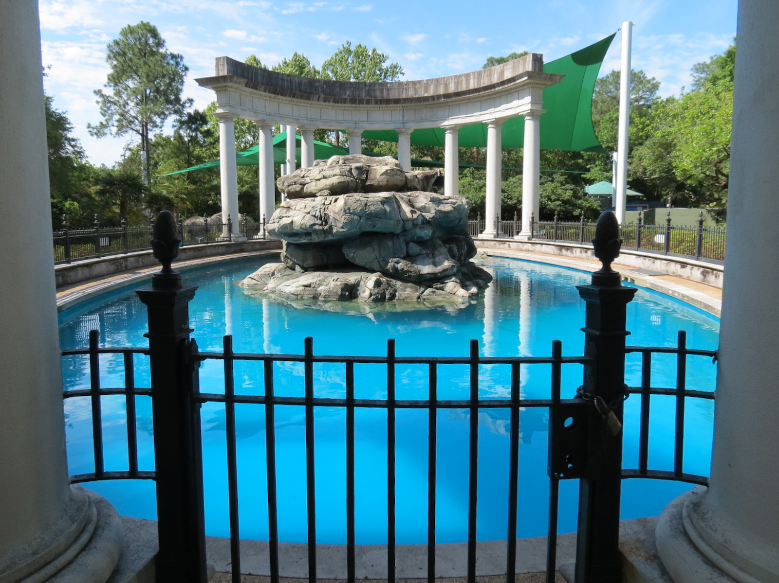 Sea Lions - Historic Pool