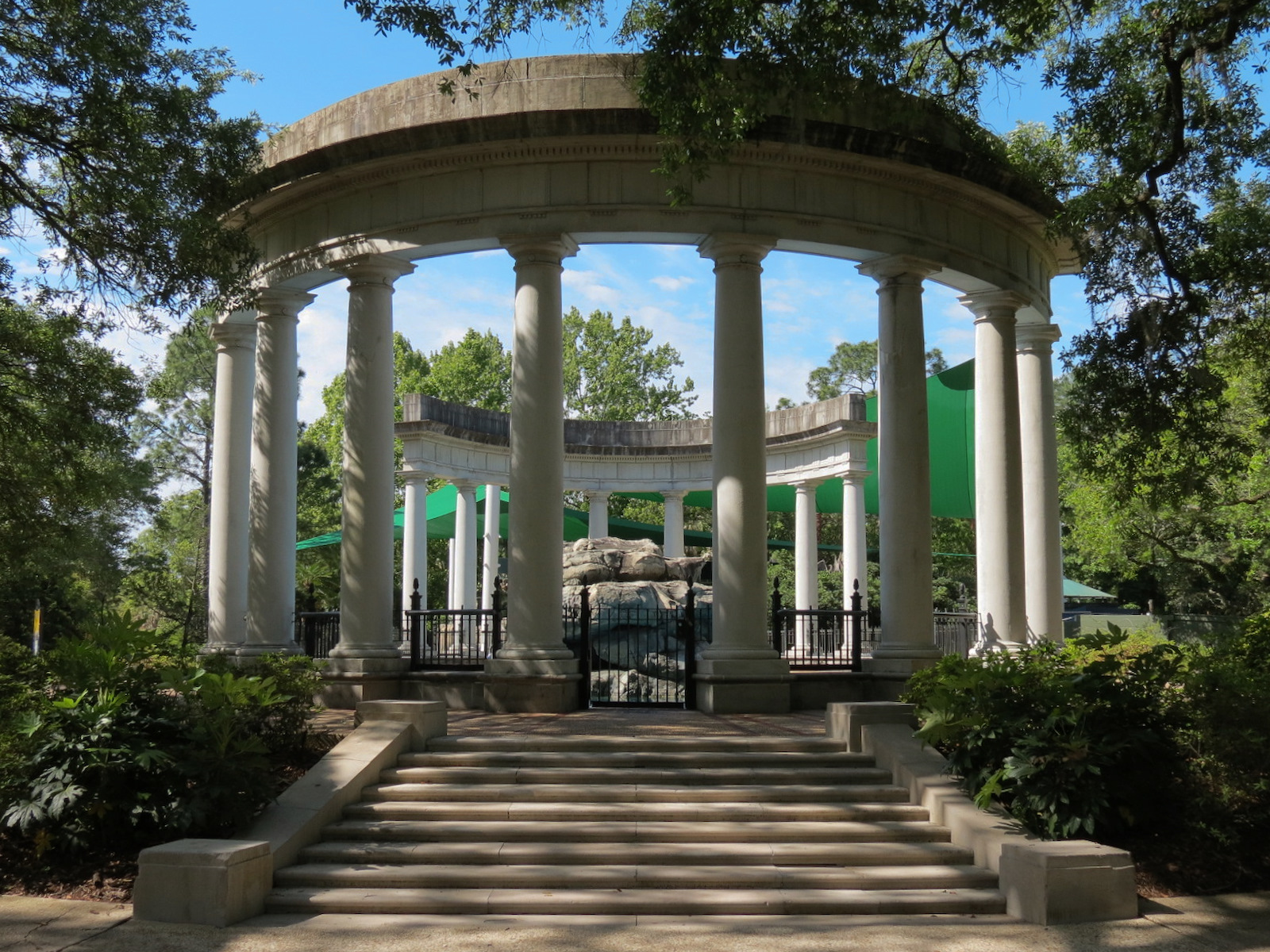 Sea Lions - Historic Pool