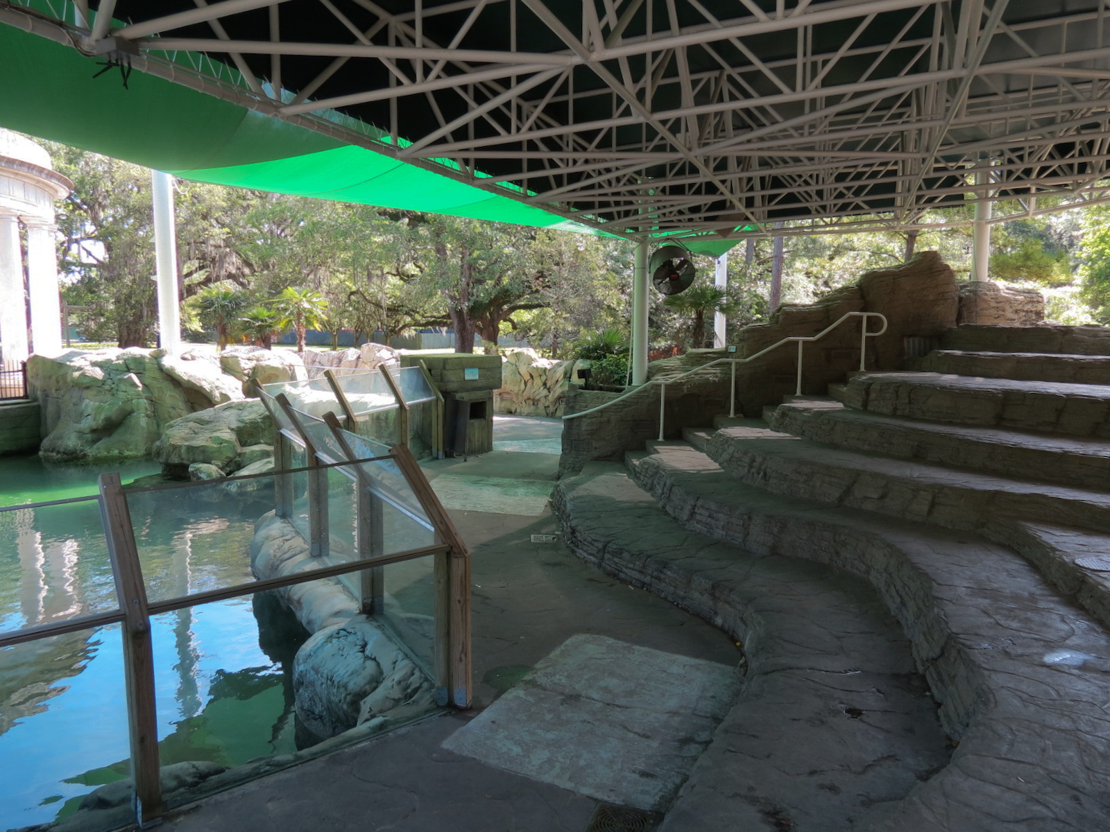 Sea Lions - Newer Pool Viewing Area