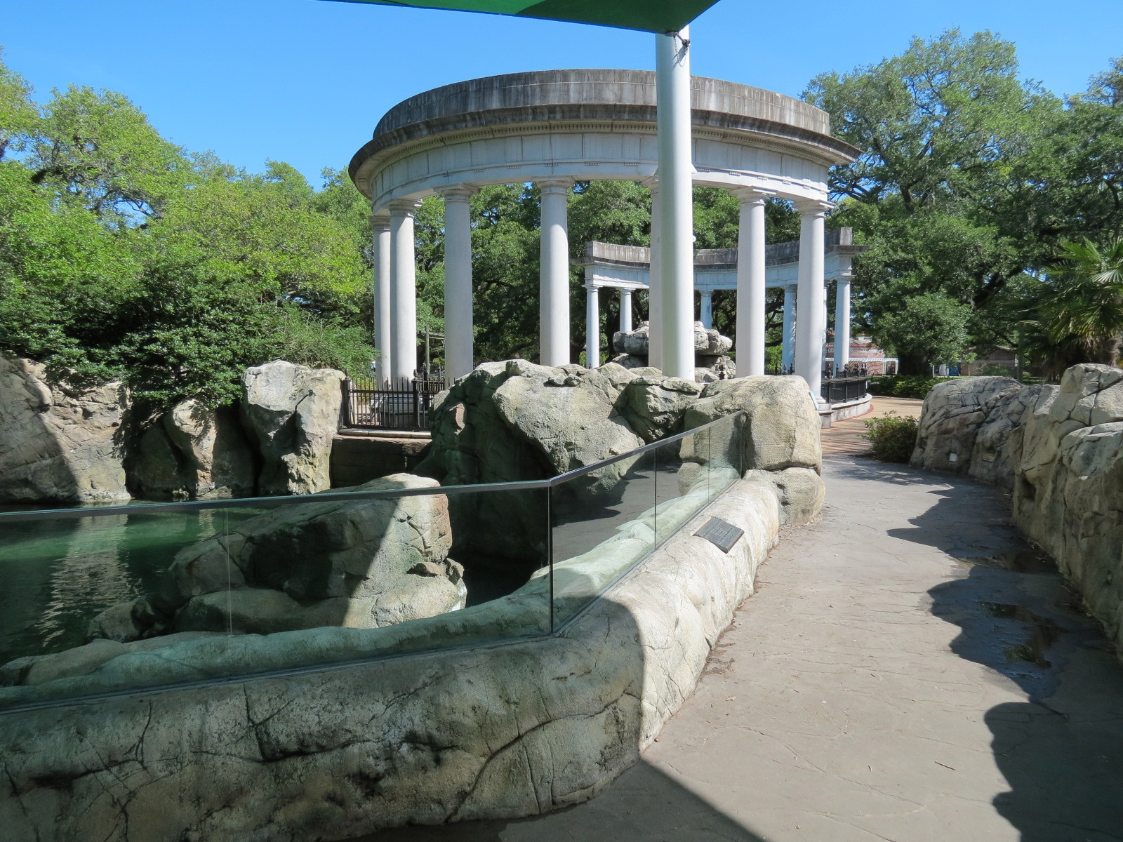 Sea Lions  - Newer Pool