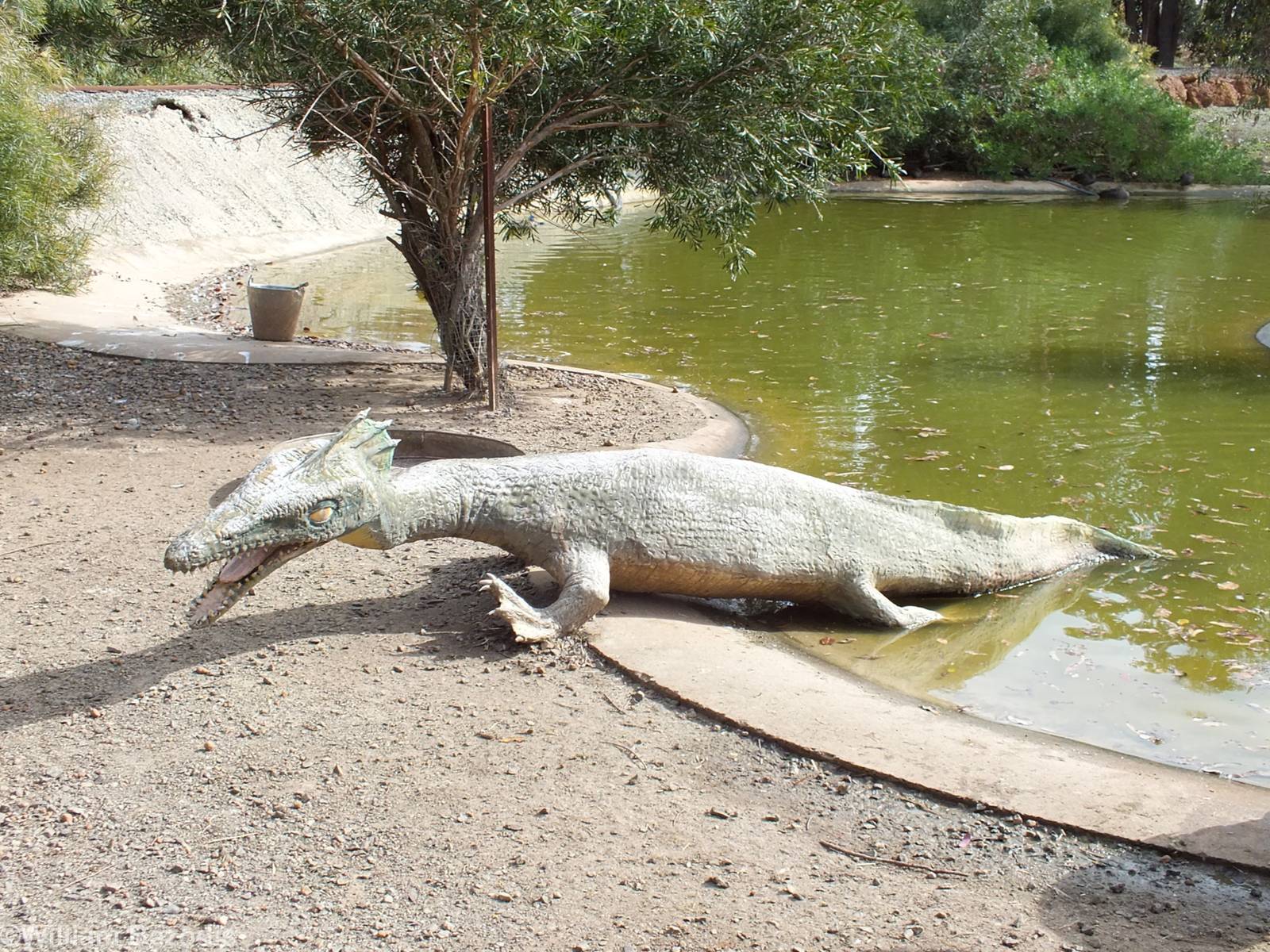 Sea Monster Thing - Cohunu Koala Park