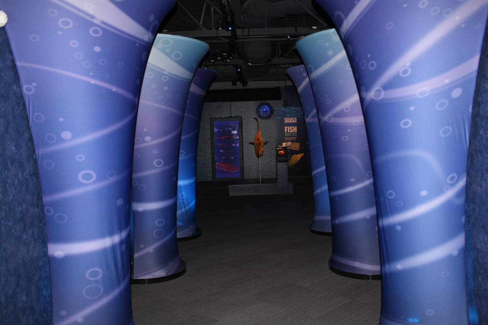 Sea Monsters Revealed - Temporary Gallery