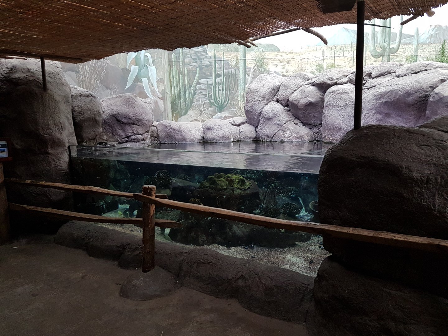 Sea of Cortez aquarium