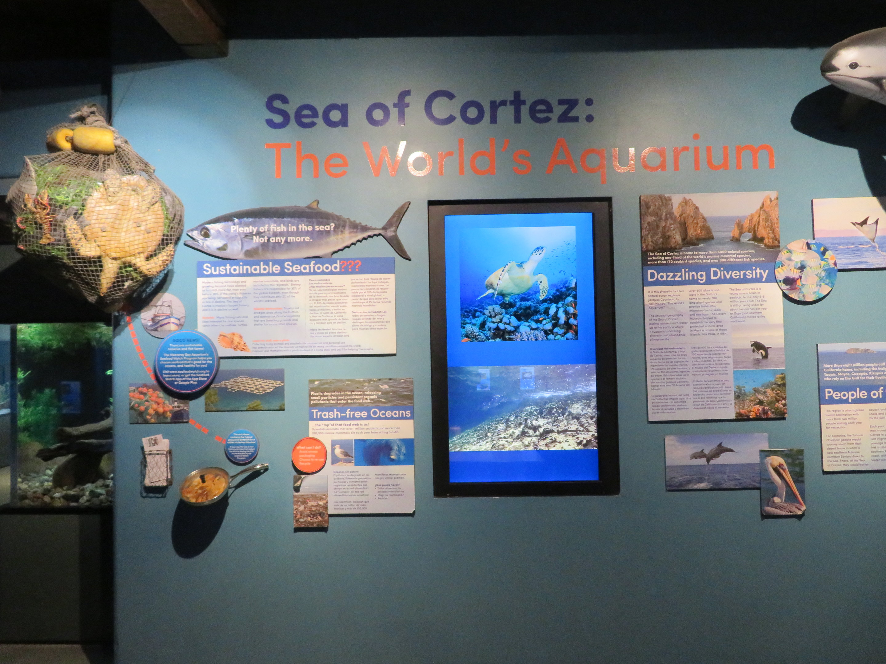 Sea of Cortez Info Signage