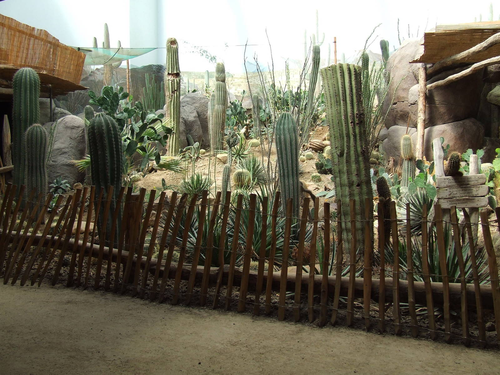 Sea of Cortez, Oceanium