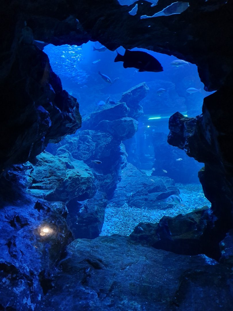 Sea of Kyoto exhibit