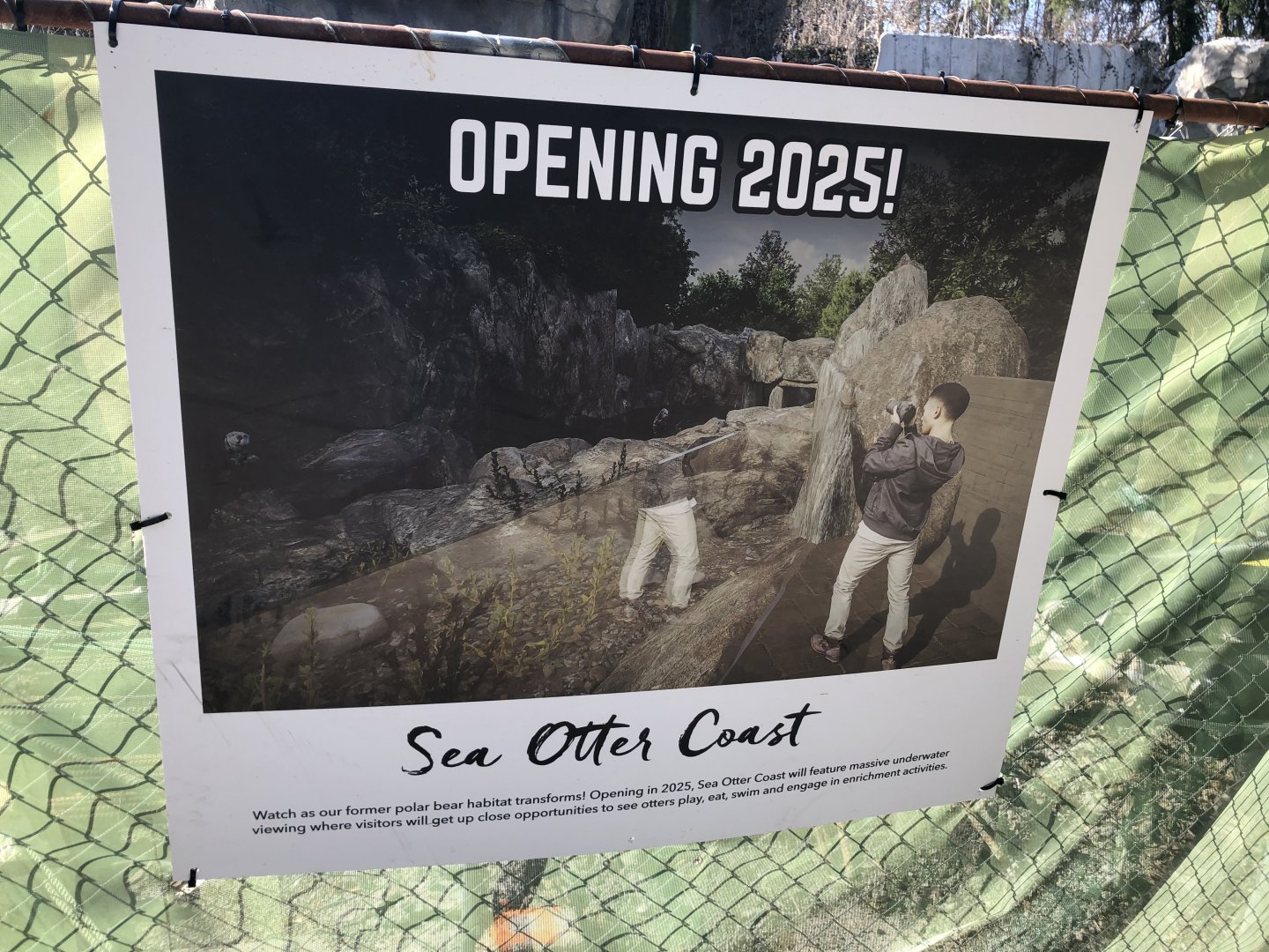 Sea Otter Coast Rendering