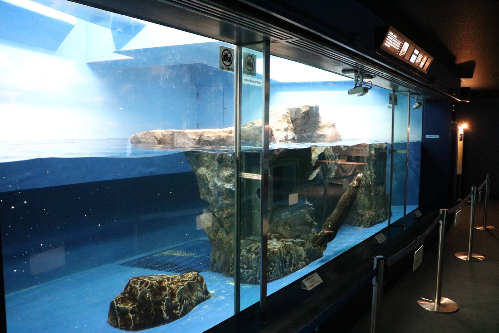 Sea otter enclosure- Sunshine Aquarium Tokyo, February 2016