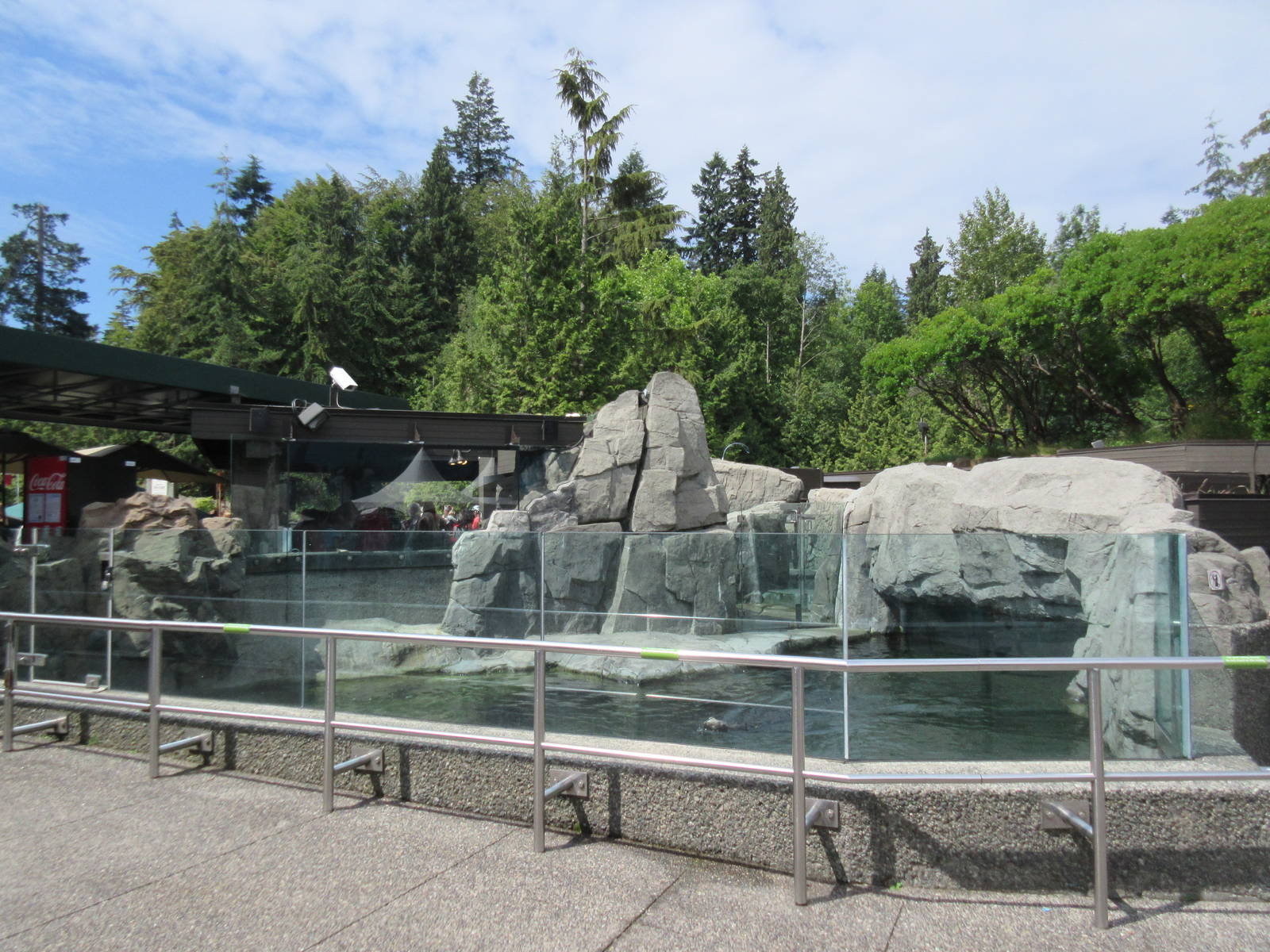 Sea Otter Exhibit #1