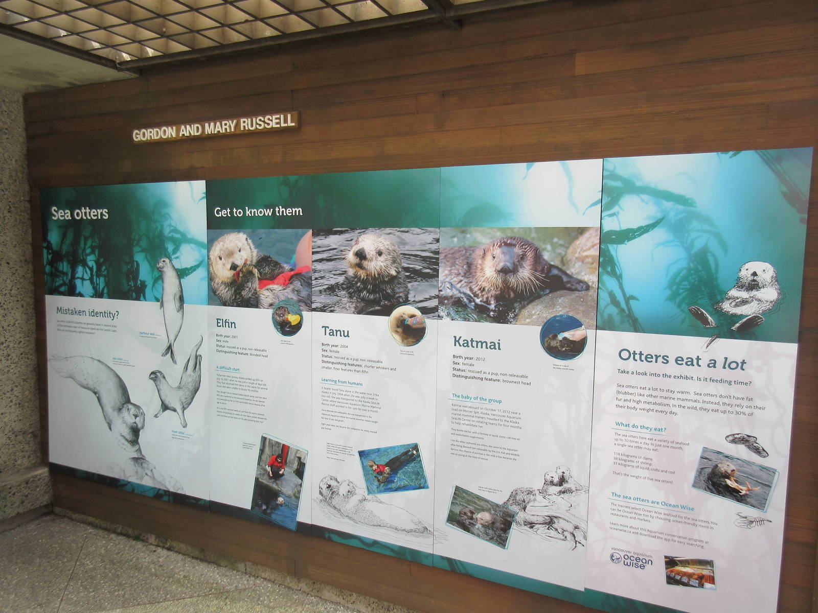Sea Otter Exhibit (6 Foot High Signs)